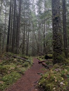 Salmon River Trail